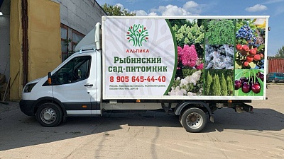 Реклама на Газелях